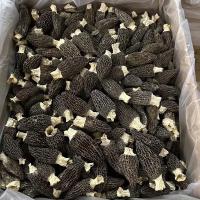羊肚菌干货云南原产地便宜羊肚菌干菌一件代发规格齐全批发  2件图4