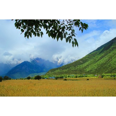 雅鲁藏布大峡谷Yarlung Zangbo Grand Canyon图4
