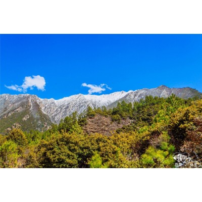 雅鲁藏布大峡谷Yarlung Zangbo Grand Canyon图3