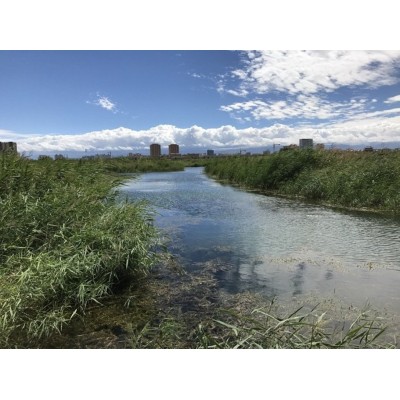 张掖国家湿地公园Zhangye National Wetland Park图5