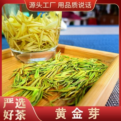广西三江明前高山绿茶黄金芽散装 2023新茶三江茶叶  2罐图2
