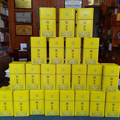 广西三江明前高山绿茶黄金芽散装 2023新茶三江茶叶  2罐图4