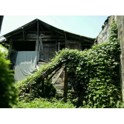 前童古镇Qiantong Ancient Town图3