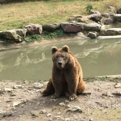 宁波野生动物园Youngor Zoo图2