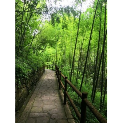 雪窦山Xuedou Mountain图3