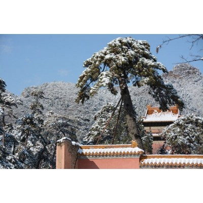 十三陵水库Ming Tomb Reservoir图3