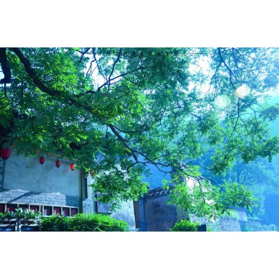 爨底下村Cuandixia图5