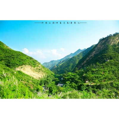 爨底下村Cuandixia图3