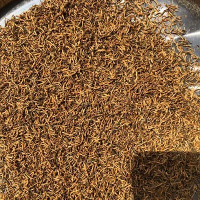 2023年新茶三江小种红茶金骏眉散装蜜香型茶叶奶茶店专用厂家直销  2斤图3