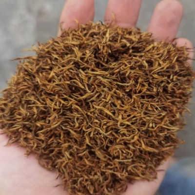 2023年新茶三江小种红茶金骏眉散装蜜香型茶叶奶茶店专用厂家直销  2斤图5