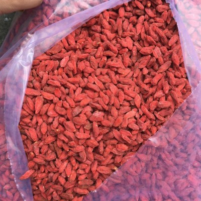 枸杞子 青海枸杞500g头茬枸杞 一箱40斤干吃免洗食品枸杞批发新货4件图5