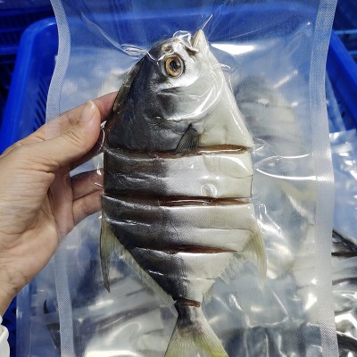 淡晒金鲳 一件代发批发金鲳鱼干鱼干金昌鱼干特产鱼干货黄特昌  2包图2