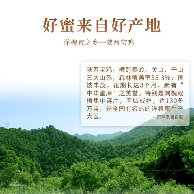 独立小包装天然洋槐蜜15g30袋便捷条状蜜代发蜂蜜袋装槐花蜜  1桶图4