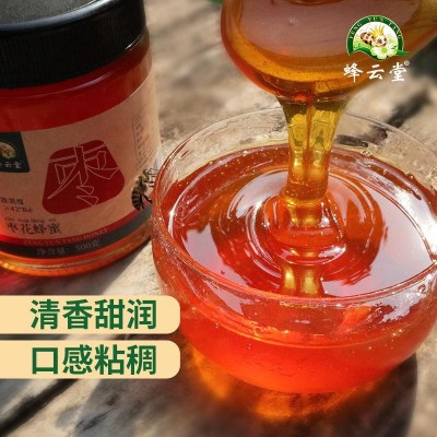 蜂云堂土蜂蜜500克云南中蜂蜜东北黑蜂椴树蜜枣花蜜批发百 花洋槐  1瓶图3