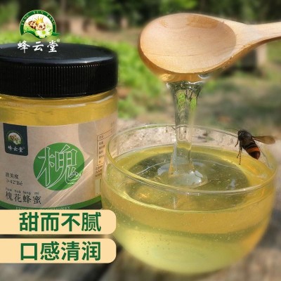 蜂云堂土蜂蜜500克云南中蜂蜜东北黑蜂椴树蜜枣花蜜批发百 花洋槐  1瓶图2