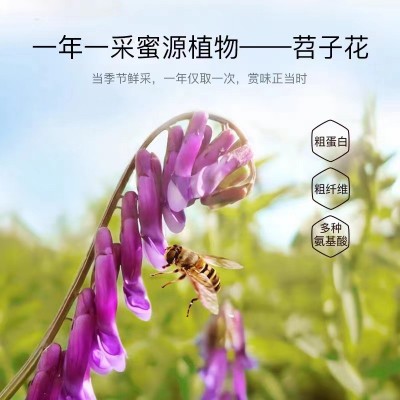 老滇凰玉龙雪山雪蜜纯正蜂蜜无添加官方正品批发团购  100瓶图3