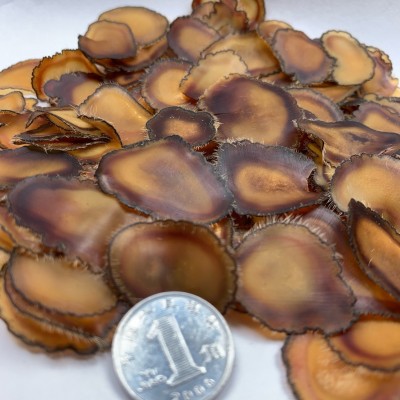 吉林鹿茸片干礼盒装蜡片全腊片鹿茸整枝整根正宗品东北特产  10克图3