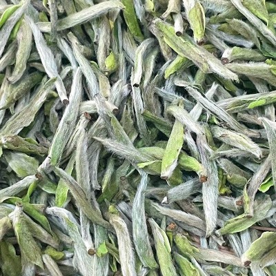 福鼎2023年头采春茶白毫银针 银针肥壮白毛厚实白茶散装直销批发  2件图3