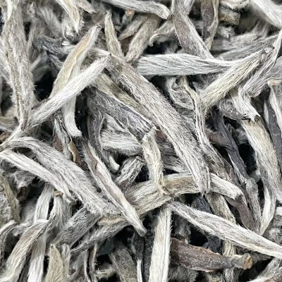 福鼎老白茶白毫银针白毛厚实银针肥壮 老银针500g散装批发  2件