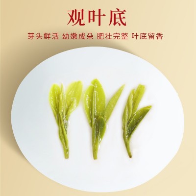 2023明前特级龙井浙江高山豆香绿茶批发散装锁鲜罐装150g茶叶代发  2罐图5