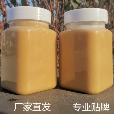 厂家批发 结晶蜂蜜小包装洋槐土蜂蜜瓶装蜂场代发百花原蜜500g/瓶  2瓶图3