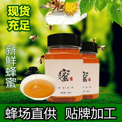 厂家批发蜂蜜小包装土蜂蜜蜂场直发瓶装原蜜百花蜜洋槐蜜500g  2斤图3