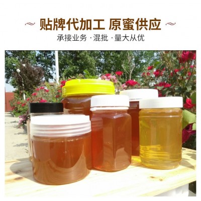 厂家批发蜂蜜小包装土蜂蜜蜂场直发瓶装原蜜百花蜜洋槐蜜500g  2斤图4
