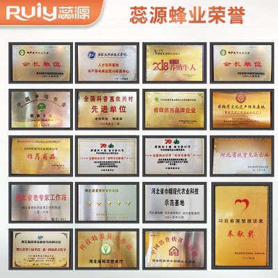 【瓶装蜂蜜】蕊源蜂蜜枣花蜂蜜三倍体枣花蜜自然成熟蜂场直发  2件图3