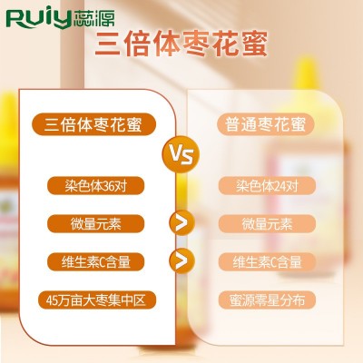 【蜂蜜礼盒】蕊源枣花蜜蜂蜜天然农家自产成熟蜂蜜河北特产礼盒  2件图2