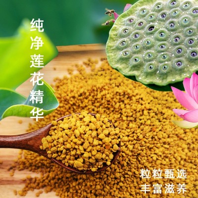【蜂花粉】蕊源蜂花粉荷花花粉荷花粉  2件图2