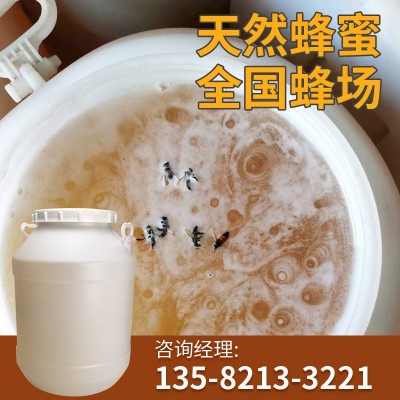 蜂蜜桶装批发75公斤洋槐百花蜂蜜土蜂蜜大桶散装食品原料蜂场直供  2桶图5