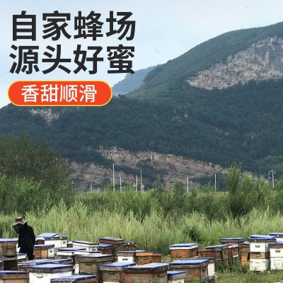 蜂蜜桶装批发75公斤洋槐百花蜂蜜土蜂蜜大桶散装食品原料蜂场直供  2桶图4