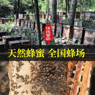 4瓶装500g蜂蜜纯正天然农家自产枣花峰蜜百花蜜洋槐蜜深山正宗蜂  2瓶图4