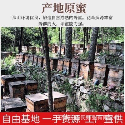 荆条蜜结晶蜂蜜蜂蜜500g瓶团购送礼深山农家自产荆花蜂蜜源头工厂  2瓶图3