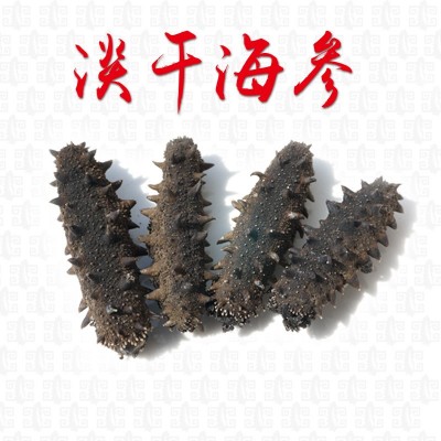嘉岛珍参 50克淡干海参 醇品 大连辽参淡干刺参 海参批发  2件图2