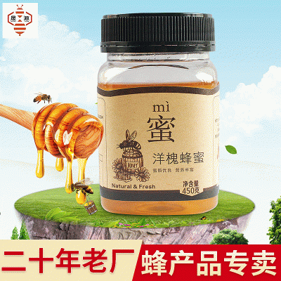 农家自产蜂产品450g土蜂蜜 洋槐蜂蜜批发 OEM代加工一件代发  2瓶图2