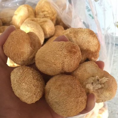 包邮去跟剪脚6-8cm猴头菇 大个礼品级猴蘑菇 短毛长毛猴头菇定制  30件图4