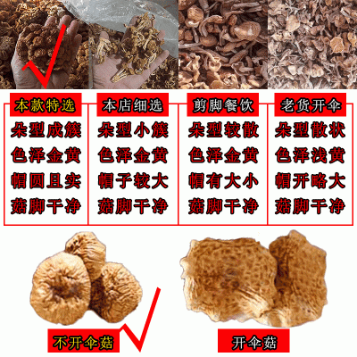 古田滑子菇 滑子蘑纳美菇珍珠菇 菌菇干货蘑菇滑子香菇礼品菇500g  10件图3