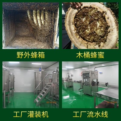 原生自产洋槐蜂蜜 原蜜500g装蜂场批发支持一件代发洋槐蜜  2瓶图4