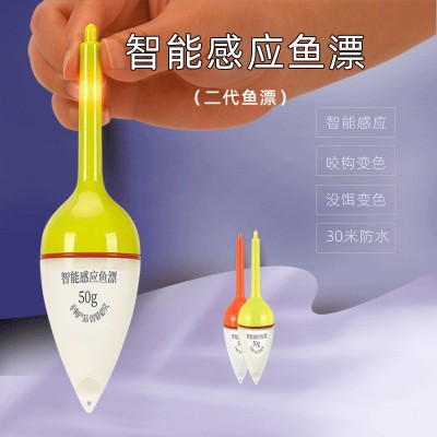 荷塘有鲤二代大肚漂智能感应鱼漂鲢鳙漂浮漂咬钩变色鲢鳙钓组配件  2个图2