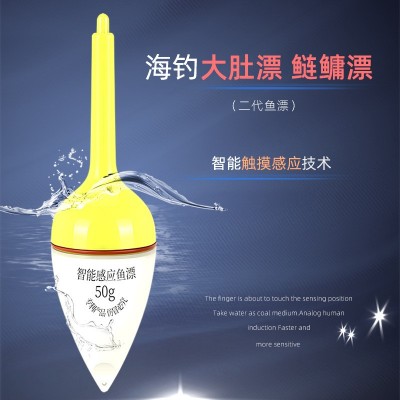 荷塘有鲤二代大肚漂智能感应鱼漂鲢鳙漂浮漂咬钩变色鲢鳙钓组配件  2个