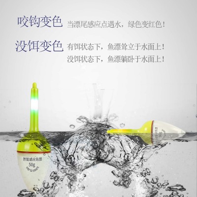 荷塘有鲤二代大肚漂智能感应鱼漂鲢鳙漂浮漂咬钩变色鲢鳙钓组配件  2个图4