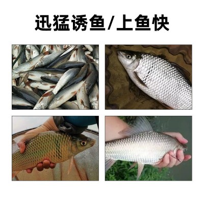 鲮鱼饵料丸九诱鲮魂土鲮饵料鲮鱼专用鱼饵野钓广东泰鲮红眼诱灵魂  2个图4