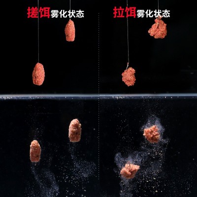 武汉天元邓刚易包搞定腥味版450g鲫鲤青草鳊四季通用综合鱼饵饵料  2袋图4