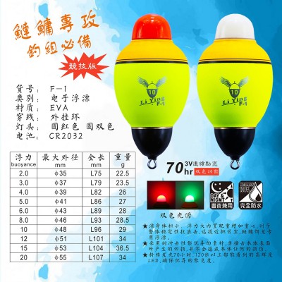 丽鹰海钓矶钓湖钓水库EVA外挂鱼漂浮标漂鲢鳙淡水抛投电子发夜光  3个图5