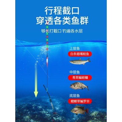 柳韩翘嘴行程夜光漂日夜两用硬尾鲢鳙漂超长醒目流氓鱼漂大物专用  2个图3