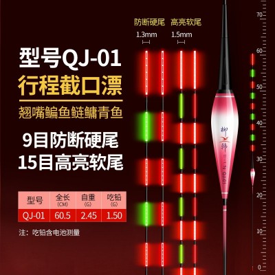 柳韩翘嘴行程夜光漂日夜两用硬尾鲢鳙漂超长醒目流氓鱼漂大物专用  2个图5