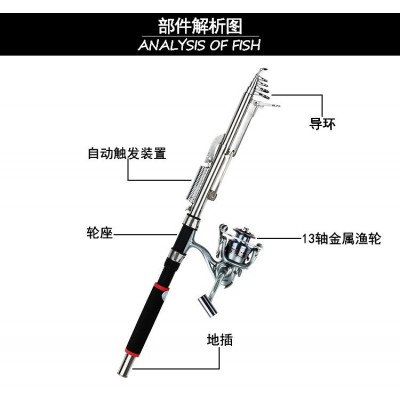 龙抬头自动钓鱼竿 鱼杆弹簧海竿 海杆 自弹式抛竿 鱼竿渔具批发  2个图2