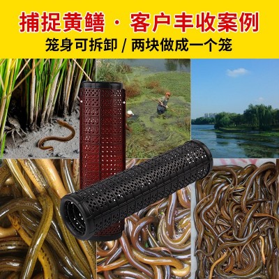 塑料黄鳝泥鳅笼鱼笼虾笼自制倒须抓黄鳝网笼专用  2个图2