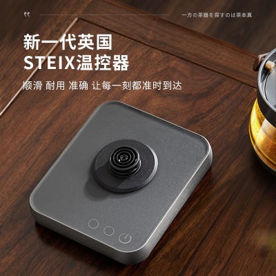 智蔚茶器茗悦煮茶器316不锈钢日式煮茶器保温恒温电茶壶烧水壶 2套图3